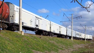 Между Узбекистаном и Россией запустят агрологистический коридор