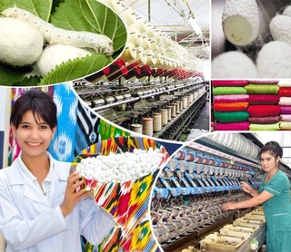 Пўлатдан мустаҳкам, ўргимчак тўридан ҳам нозик