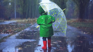 Илиқ ҳаво бир оз чекинади, шамол кучайиши кутилади