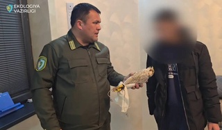 В Ферганской области задержан гражданин, пытавшийся продать краснокнижную птицу