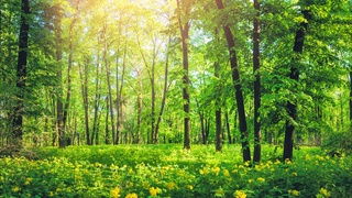 Туризм ташкилотлари томонидан иқлим барқарорлаштирилишини яхшилаш таклиф қилинди