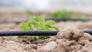 Водосбережение: путь устойчивого развития