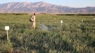 Научный спор разрешат результаты экспериментов
