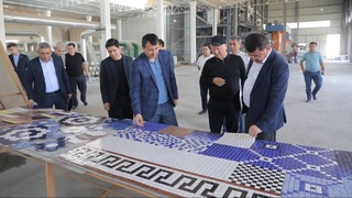 Правительственная комиссия продолжила работу в Сурхандарьинской области