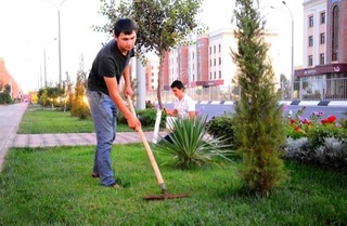 В преддверии 32-й годовщины независимости Узбекистана по всей республике проходит Месячник благоустройства