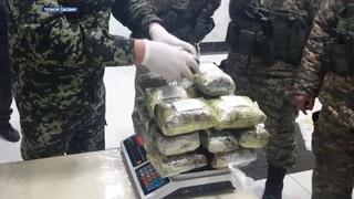 ХАД: дар Самарқанд аз гардиши ғайриқонунӣ 26 кг маводи мухаддир мусодира карда шуд