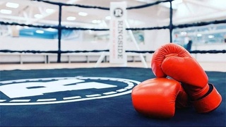 Мощные стимулы для развития узбекского бокса