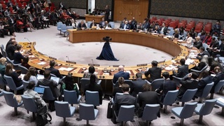 АҚШ Фаластиннинг БМТга аъзолиги ҳақидаги резолюцияга вето қўйди