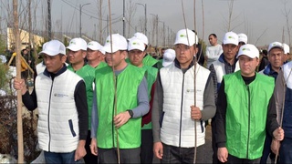 Экология и здоровье будущих поколений