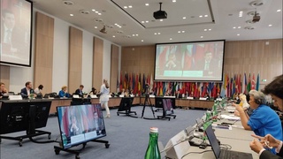 Обсуждено международное сотрудничество в сфере противодействия торговле людьми