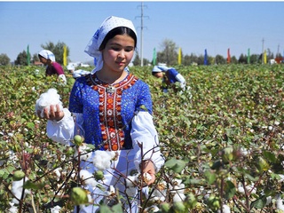 Баҳодир Умрзоқов: Интернетда terim.uz сайти очилди
