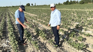 Қишлоқ хўжалигининг тақдири — томчилатиб суғоришда