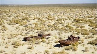 В ООН ознакомились с усилиями Узбекистана по борьбе с опустыниванием на примере Аральского кризиса