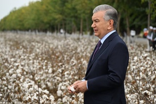 Президент Наманганда балық шаруашылығының жаңа жобаларымен танысты