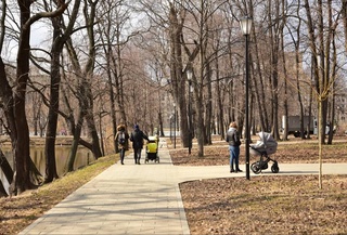 Прогноз погоды на день 11 декабря