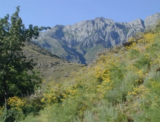 Uch muhofaza etiladigan tabiiy hududlar maydoni kengaytirildi
