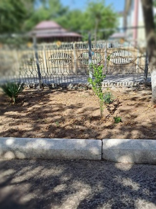 Ўқитувчиларга “шанбалик” қилдирган директор жаримага тортилди