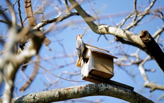 Прогноз погоды на 16 марта