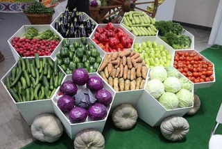 Сурхандарьинская область - лидер в производстве овощей в Узбекистане