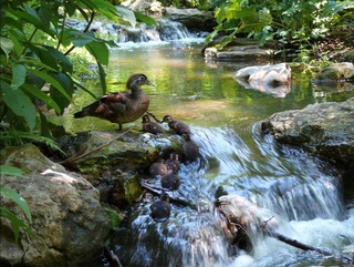 Прогноз погоды на 19 июля