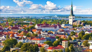 Электрон ҳукуматнинг «эстонча модели». Ўзбекистон ва Эстония ҳамкорлиги янги босқичга ўтди