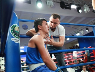 Boks bo'yicha Toshkent viloyati hokimi sovrini uchun musobaqa boshlandi