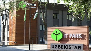 В Узбекистане с 1 апреля начнут выдавать IT-визы