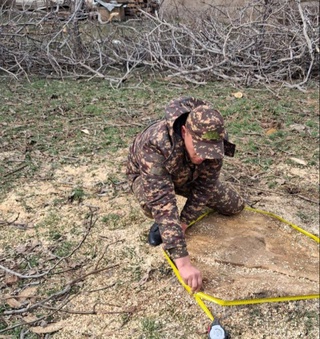 Иморат қуриш учун кесилган дарахт бадали оғир бўлди