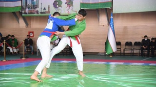 Кураш как воплощение национальных ценностей