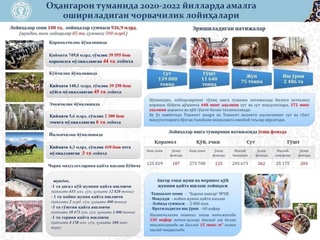 Оҳангарон: Чорвачилик етакчи тармоққа айланди