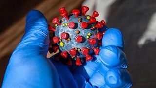 Появилась новая версия о происхождении коронавируса