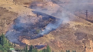 Burchmulla oʻrmon xoʻjaligi hududida yongʻin yuz berdi