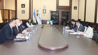 Узбекистан - Италия: обсуждены вопросы двустороннего сотрудничества