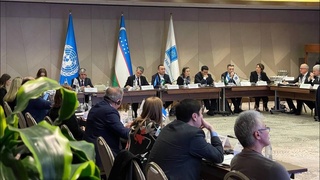 Фокус на устойчивое развитие: новые векторы сотрудничества Ассоциации «Узтекстильпром» и UNECE