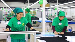 Выпуск отечественной продукции по зарубежным технологиям