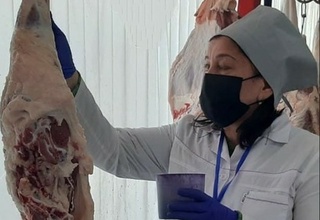 357 та тухум ва 56 кг ўсимликка мансуб маҳсулотларнинг истеъмолга яроқсизлиги аниқланди