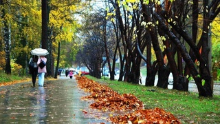 Узгидромет: в воскресенье в некоторых регионах Узбекистана ожидается дождь
