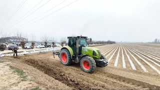Әндижанда бириншилерден болып шигит егиси басланды