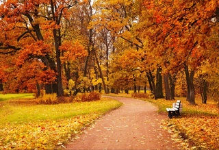 Прогноз погоды на день 2 декабря