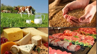 Украина планирует нарастить поставки сельхозпродукции в Узбекистан