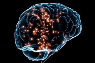 Олимлар миянинг айрим қисмларини ёқиб ўчиришга эришди