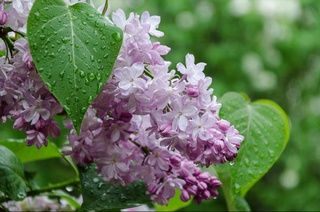 Прогноз погоды на день 4 апреля