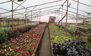 Сайхунабад тәжирийбеси: Қыйтақ жердиң арқасында раўажланып атырған аймақ үлгиге айланды