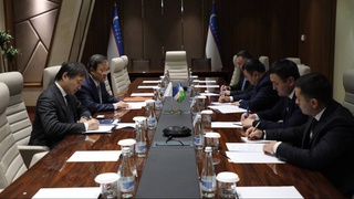 Uzbekistan - Japan: multilateral cooperation in the field of energy is developing