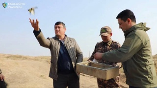 В Ташкентской области браконьер предстанет перед судом за отлов щеглов