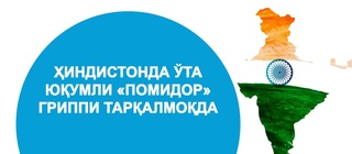 Ҳиндистонда ўта юқумли «помидор» гриппи тарқалмоқда