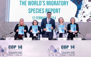 В Самарканде презентовали доклад о состоянии мигрирующих видов и рекомендации по их спасению