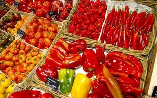 Россельхознадзор временно ограничит ввоз томатов и перцев из Бухарской области