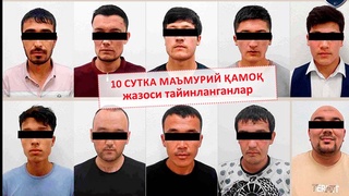 ГУВД столицы сделал сообщение по инциденту на стадионе «Пахтакор»