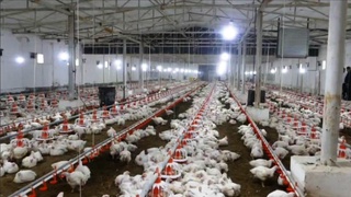 Өним сапалы болса, базары да шаққан болады